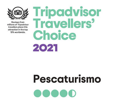 Fishingtrip Majorca wins the Travellers' Choice of Tripadvisor adward