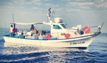 fishingtripmajorca.co.uk boat tours in Majorca with Virot
