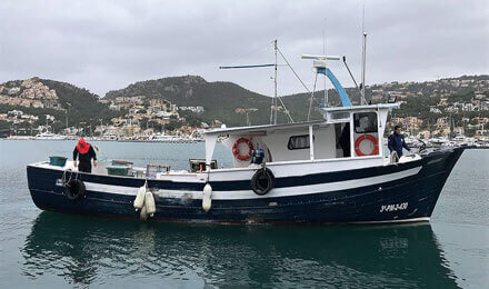 www.fishingtripmajorca.co.uk boat trips at Majorca with Ferre
