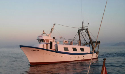 fishingtripmajorca.co.uk boat tours in Majorca with Domingo