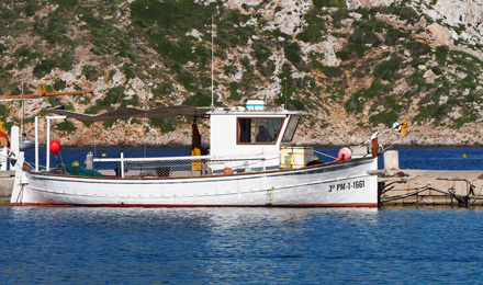 www.fishingtripmajorca.co.uk boat trips in Majorca with Xoriguer